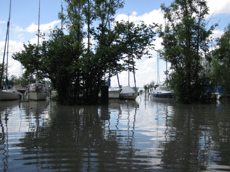 hochwasser2013-23.jpg